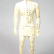 Illustration for article titled 29 Anatomical Models That Will Haunt Your Dreams Tonight